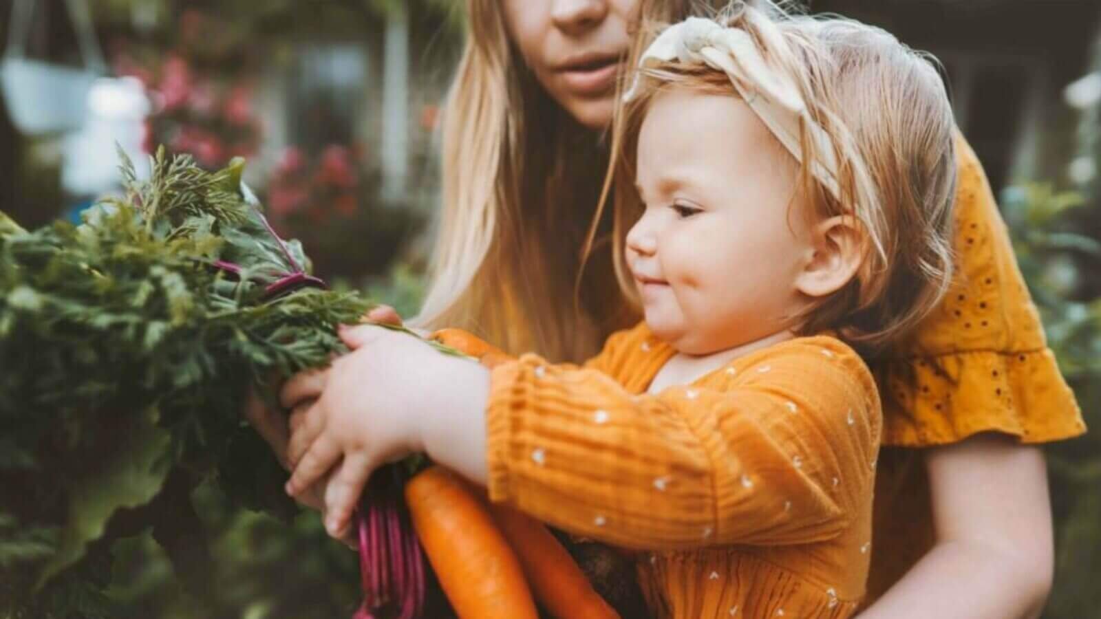 Hoofdfoto van de ECOIST